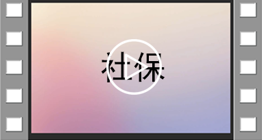 社会保险费明细申报